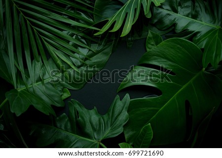 Real leaves with white copy space background.Tropical Botanical nature concepts design.