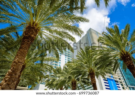 Skyline view of the Brickell area in downtown Miami with palm trees and skyscrapers.