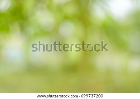 Abstruct blurred green leaves nature background in day time with bokeh and flare of light