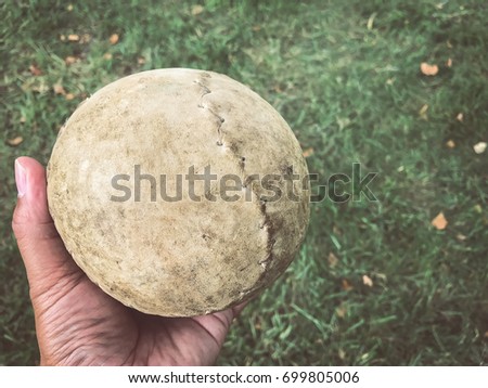A male hand holding a old softball in daylight / With Copy Space