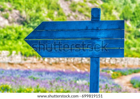 purple flowers on the meadow with a sign. farmland with a directional sign