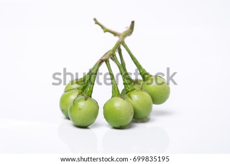 Turkey berry (Solanum torvum Sw.) on white background.(selective focus photograph), Asian vegetables commonly used to grow food.