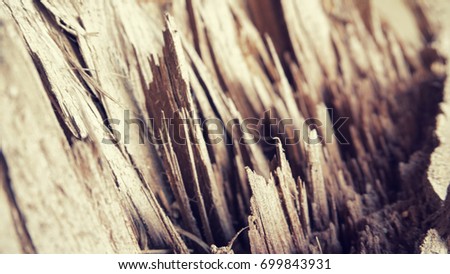 broken wood lumber with sharp spill texture background,  broken cut stump show many splinter