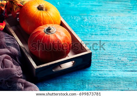 Image of two orange pumpkins