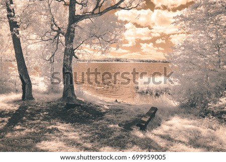 forest by the lake in hot summer day. tree leaves and reflections in water. infrared colored image - vintage pastel color effect