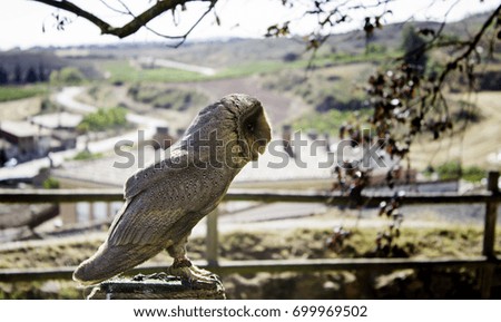 Owl in falconry, wild animals and nature