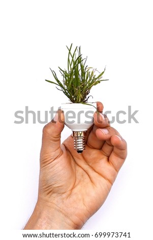 Hold a light bulb with grass growing in it in your hand