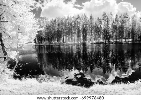 reflections in the lake in countryside summer. infrared image monochrome
