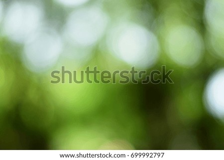 Blur and Bokeh in the forest