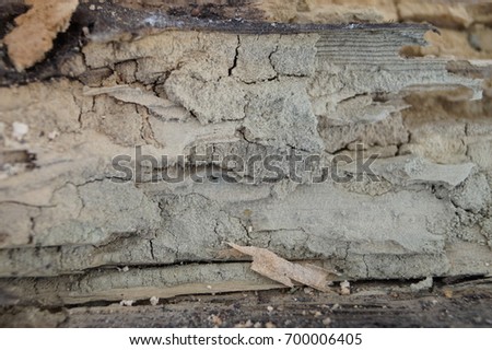 Close-up of old wood destroyed by time