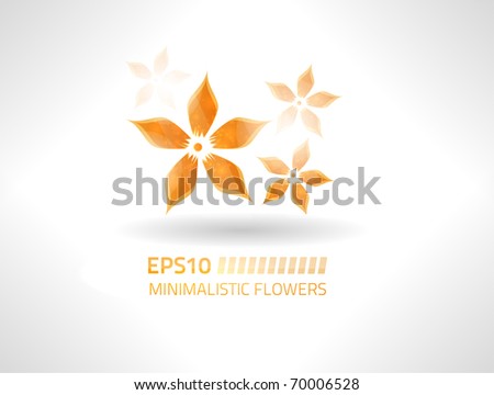 Vector orange flowers on a white background