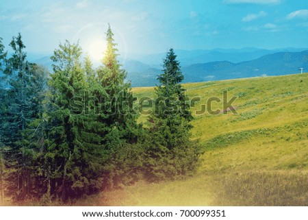View of mountain forest landscape under sunlight in the middle of the summer with heavy blue sky as a background.
