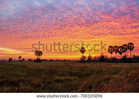 sunset Royalty-Free Stock Photo #700105096