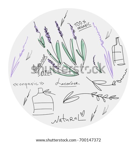 Vector illustration of a minimalistic lavender and jars. Logos, labels, design elements, prints.