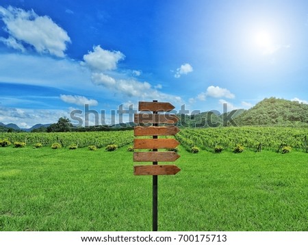 Wooden arrow signboard on vineyard with mountain and blue sky in background on sunny day.
