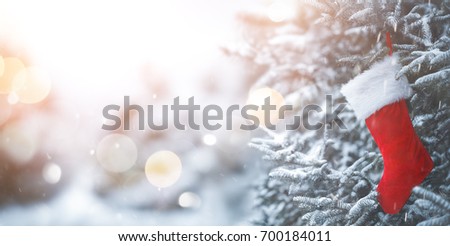 Christmas stocking on fir tree