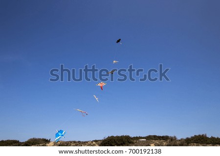 Seven colored kites in a row flying on the beach with a blue sky in the background