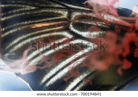 Butterfly wing in water with paints