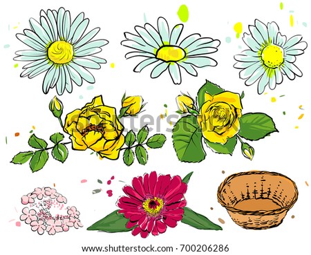 Set of summer flowers. Camomile, yellow rose, empty basket. Isolated on white illustration
