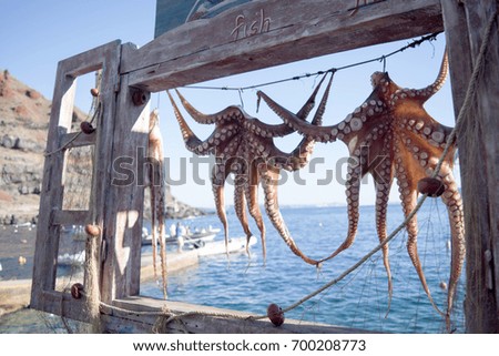 Fresh Octopus Hanging Outside Restaurant