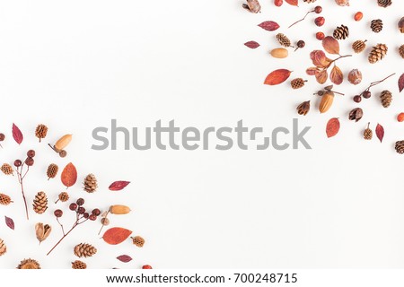 Autumn composition. Frame made of autumn leaves, acorn, pine cones on white background. Flat lay, top view, copy space