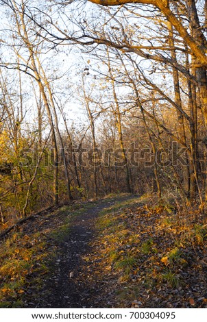 nature trail at autumn wood