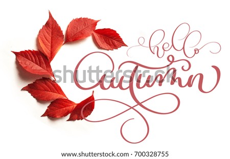 calligraphy lettering text hello Autumn. red leaves on a white background