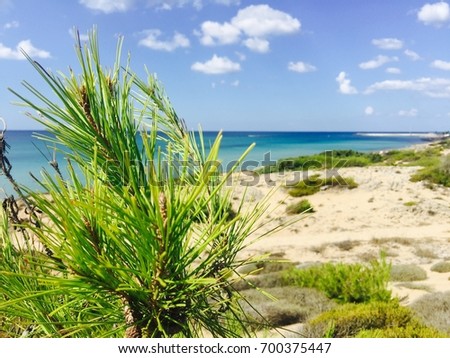 Puglia, Italy, wonderful sea, dunes, nature near the sea Royalty-Free Stock Photo #700375447