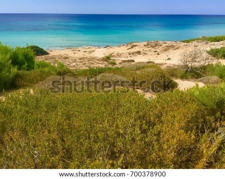 Apulia, Italy, dunes near the blue sea Royalty-Free Stock Photo #700378900