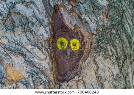 Picture of an owl on a tree trunk in a park