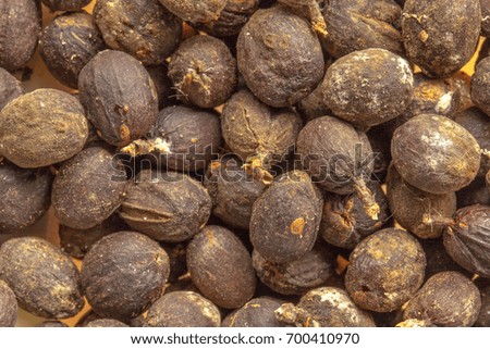 Coffee bean fruits in shell - high definition pattern