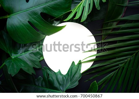 Real leaves with white copy space background.Tropical Botanical nature concepts design.