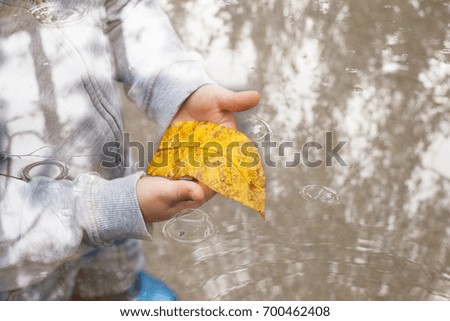 Double exposure, Yellow autumn leave in hands. boy holding a leaf in a public park during Autumn