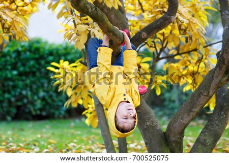Cute little kid boy enjoying climbing on tree on autumn day. Preschool child in colorful autumnal clothes learning to climb, having fun in garden or park on warm sunny day.