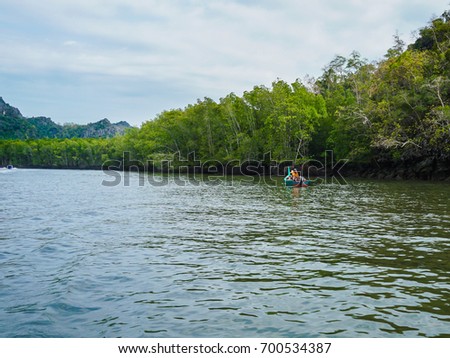 scenery of lush green mangrove forest