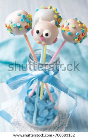 Homemade cake pops one in the owl shape with multicolored sprinkles, sweet food for kids