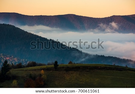 the rise of a cloud in mountains at dawn. gorgeous autumnal nature background