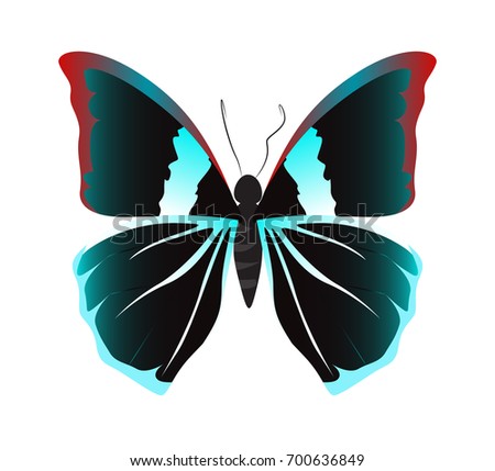 Isolated beautiful butterfly on white background. Black colors.