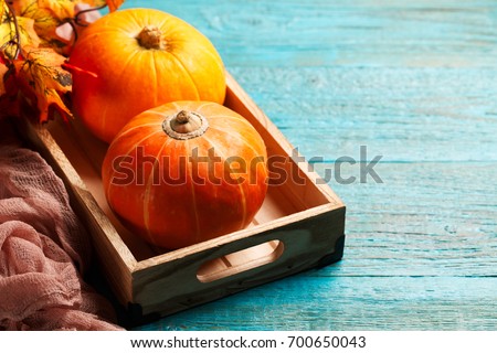 Two orange pumpkins, brown fabric