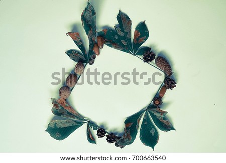 Frame for pictures made of leaves of chestnut tree, walnuts and acorn on white background, close up
