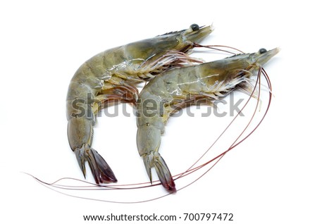 Fresh raw prawns isolated on white background
