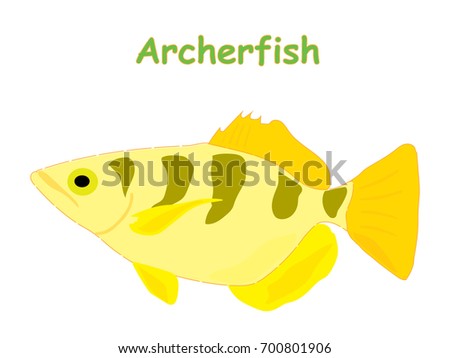 Fish vector cartoon illustration t shirt design for kids with saltwater animal archer fish theme wallpaper