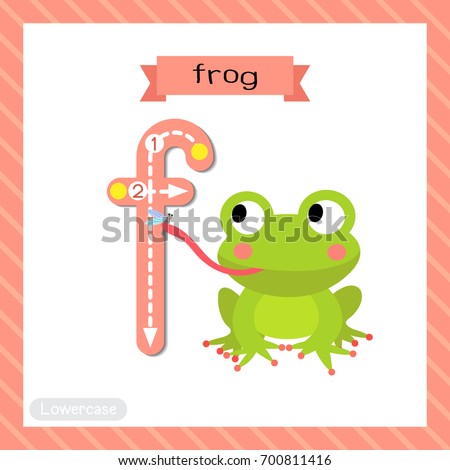 Letter F lowercase cute children colorful zoo and animals ABC alphabet tracing flashcard of Frog eating fly for kids learning English vocabulary and handwriting vector illustration.