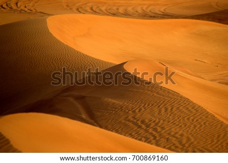 The Sand Dunes
The sand dunes in Al Madam, Hatta Border, Dubai - UAE

Picture was taken on August 2017 during hot summer day