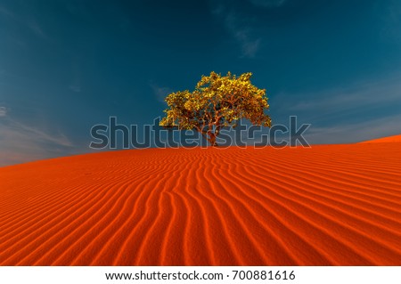Stunning view of rippled sand dunes and lonely tree growing under amazing blue sky at drought desert landscape. Global warming concept. Nature background  Royalty-Free Stock Photo #700881616