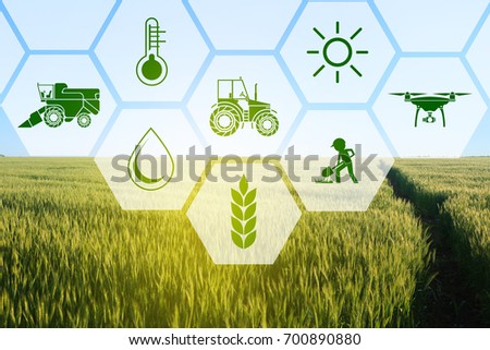 Icons and field on background. Concept of smart agriculture and modern technology Royalty-Free Stock Photo #700890880