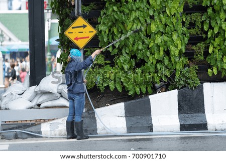 Female employees watering plant on traffic island .Green trees on the middle of the road.