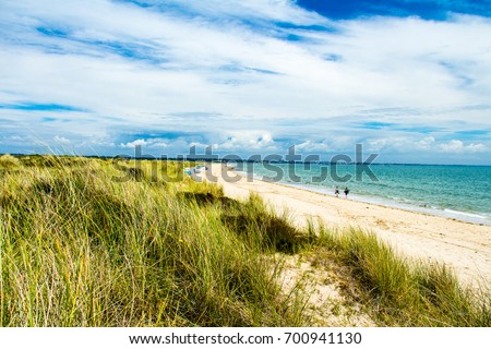 A beautiful walk in July along Studland beach, Shell bay and Studland heath in Dorset south west England. Royalty-Free Stock Photo #700941130