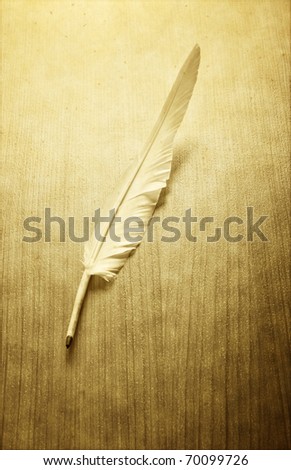Writing feather on the background
