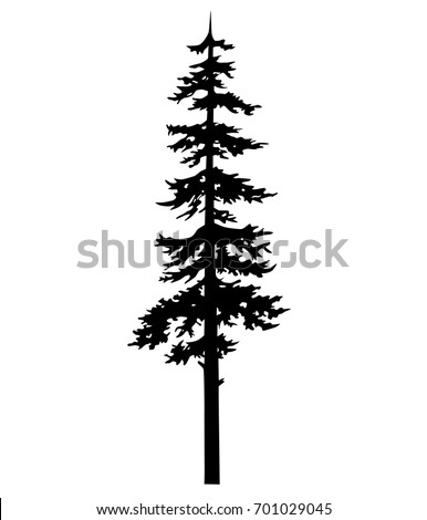 tree pine silhouette tattoo tribal, drawing cedar, fir, cypress. chistmas tree vector silhouette, conifer tree tattoo isolated pine, cedar, cypress, fir